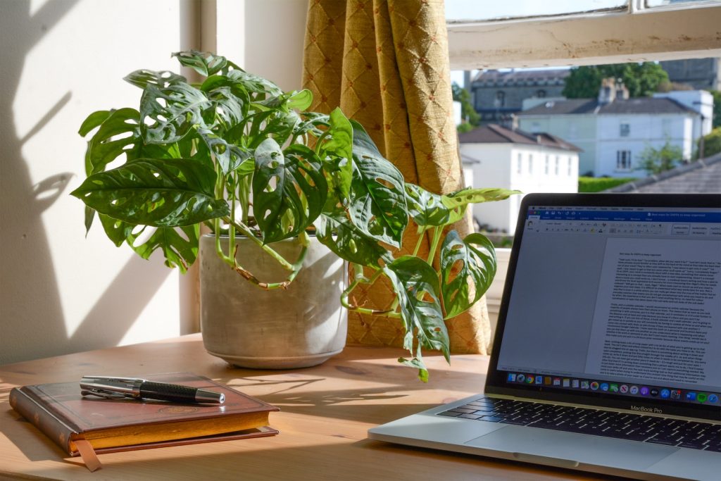 macbook pro beside green plant on table